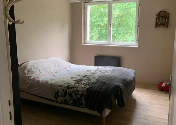 Apartment Proche Gare Lipsheim